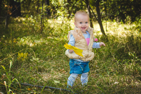 可爱的小宝宝，在黄色的树叶秋天公园