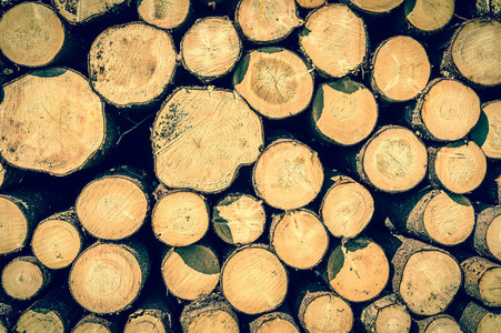 削减木原木或树的树干，堆放在地面上