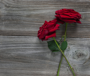 在一个木制的背景上两个红玫瑰