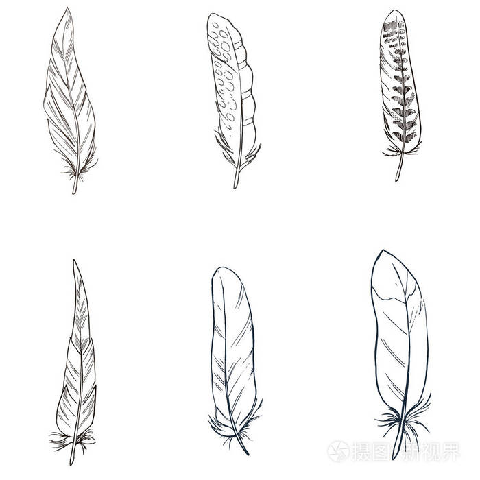 羽毛的画法简单图片