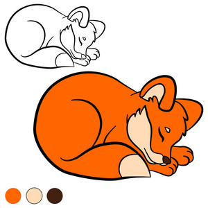 着色页。 给我颜色狐狸。 小可爱的小狐狸。