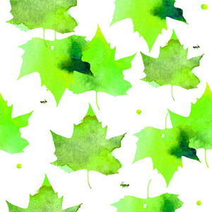 水彩插图。模式的透明温暖绿色枫树叶