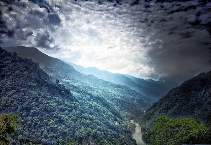 日出的蓝光在山上, 云和绿色的蓝色植被在喜马拉雅山