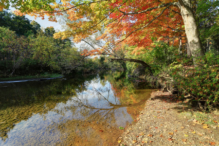 从小河看秋天的颜色