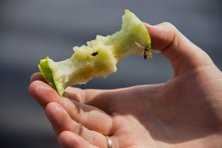 在苹果上的黄蜂