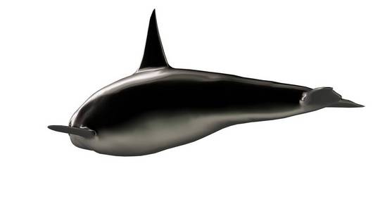 3d 渲染的背景上的反光海豚动物