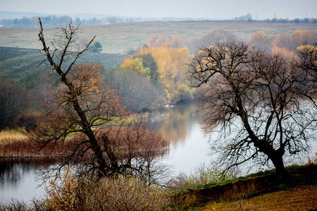 在河流风景深秋的背景上干裸露的树木