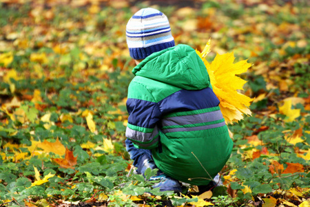 在落叶中蹲着一束叶子的孩子照片