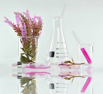 天然有机植物学和科学的玻璃器皿，替代中草药，天然美容产品，研究和发展的概念