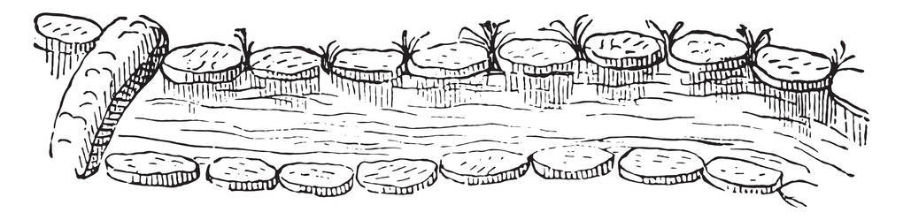 河马斯喀特酒, 馅饼银行, 饼干桥, 老式雕刻插图。Magasin Pittoresque 1842