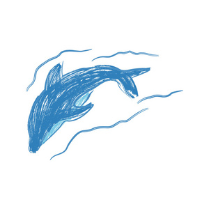 逼真的水下动物艺术.图形手绘海豚被隔离在白色背景上照片