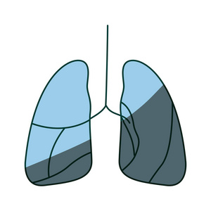 蓝色底纹手绘轮廓呼吸系统图片