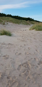 波罗的海海滩的沙子