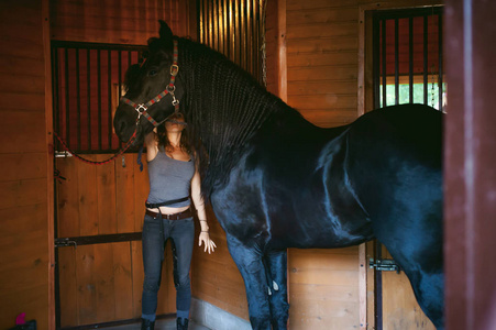 女骑士擦拭污垢，用刷花的马在马厩农场，从照顾纯种宠物