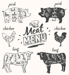 肉菜单猪肉鸡肉牛肉切手绘矢量