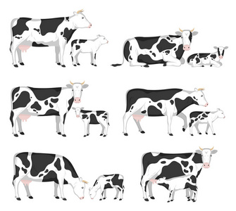 在白色的农场, 杂货, 包装和品牌的不同体式的牛和小牛的载体
