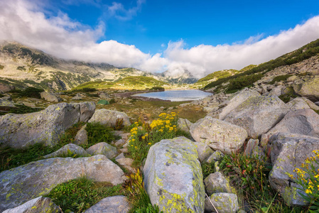 Pirin 山蛙湖壮丽夏日景观