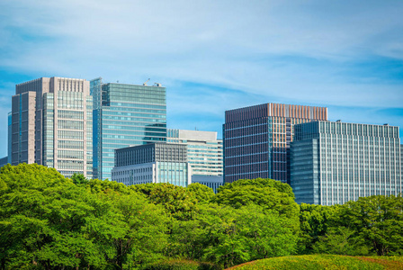 日本东京的蓝天背景下的绿色禅园现代建筑