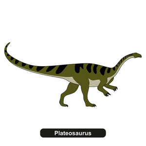 Plateosaurus 恐龙绝种动物