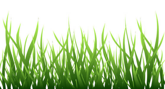 绿色草边界被隔绝在白色, 场向量例证。自然植物生态和生长的象征。夏季水平背景
