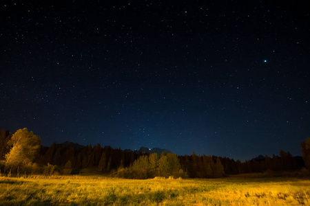 星光下的夜晚景观