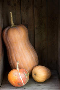 南瓜和西葫芦的不同品种在木盒子里。秋天的背景。乡村风格，选择性焦点