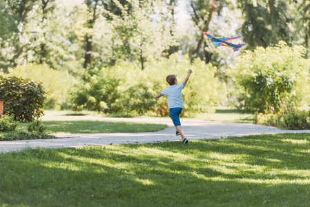 在公园里玩五颜六色的风筝的可爱的小男孩的后面看法