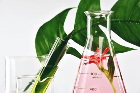 天然有机提取物和中药的绿色叶子，花香味精华解决方案在实验室