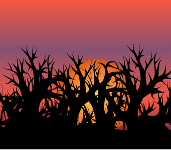 一个黑色的森林的剪影对橙色日落或日出的背景, 坐或初升的太阳