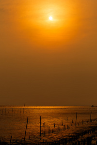 在浜公安条例  泰国的日落