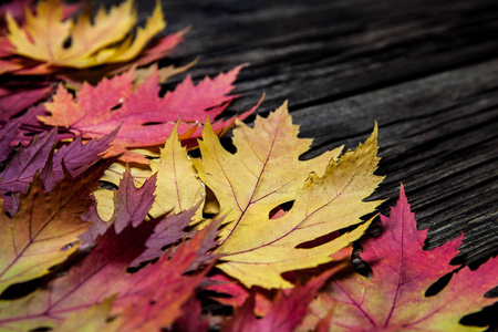 木质背景下的秋叶与复制 spase