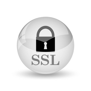 Ssl 图标。白色背景上的互联网按钮