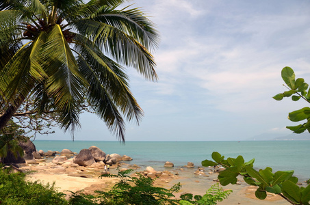 岸边的棕榈树, 赏金, 公园世界的尽头, 中国, 海南, 人气选手照片