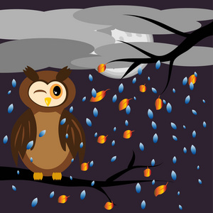 一只棕色的猫头鹰搞砸了他的眼睛坐在一棵树与飞叶，秋天的风景，背景的树枝上天空密布，雨