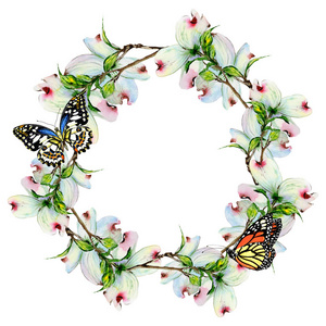 山月桂树在孤立的水彩风格野花山茱萸花花环照片