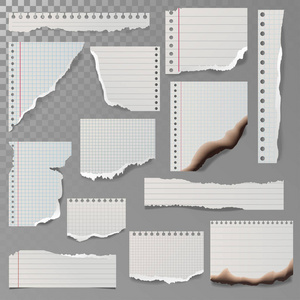 撕裂白色笔记本的横格的纸平方线块抹布白和烧页矢量图