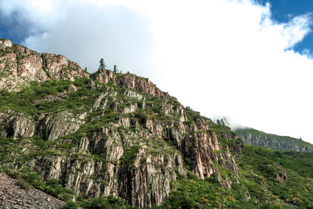 阿尔泰山在夏天