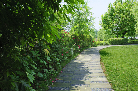 通过一个宁静的翠绿花园曲径通幽照片