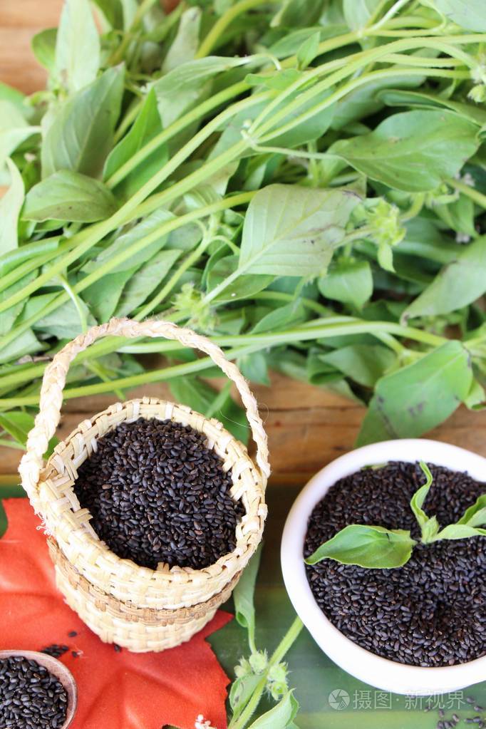 原始的罗勒种子为健康和罗勒叶的