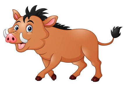 野猪卡通照片
