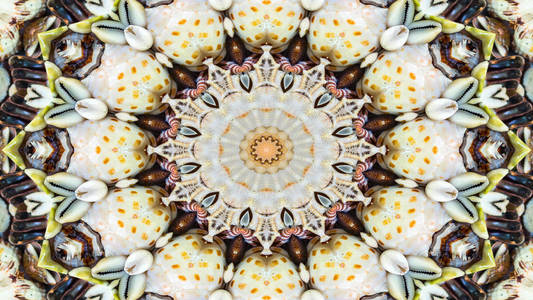 抽象干海贝壳与星星概念对称图案观赏装饰万花筒运动几何圆和星形