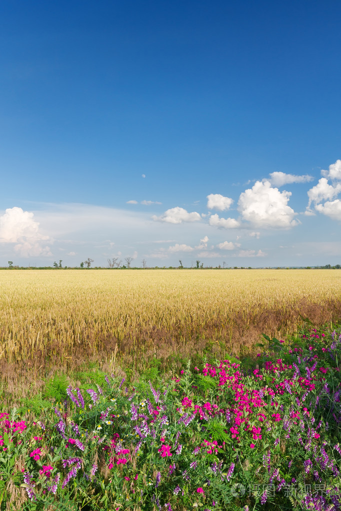 682_1023竖版 竖屏