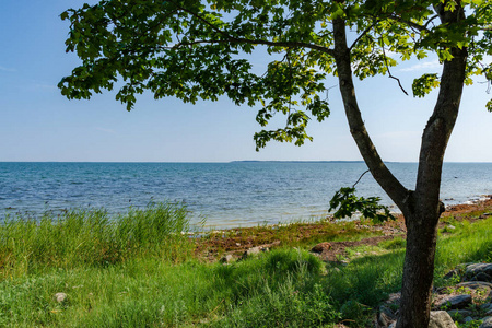 美丽的看法看见风景在 Saaremaa, 爱沙尼亚