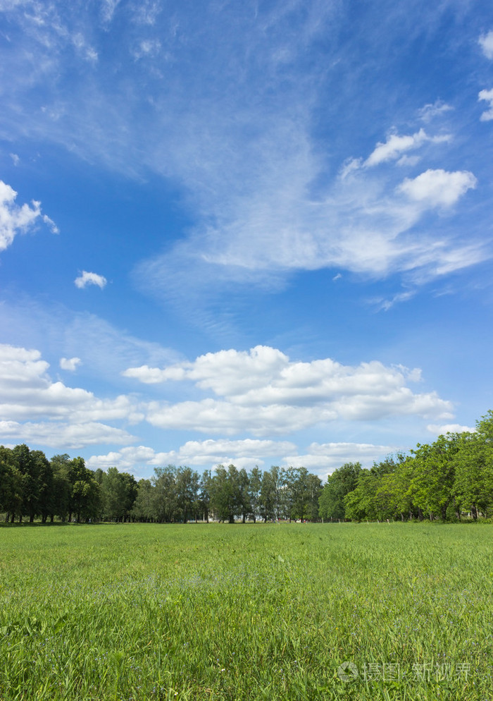 景观与蓝蓝的天空和碧绿的草
