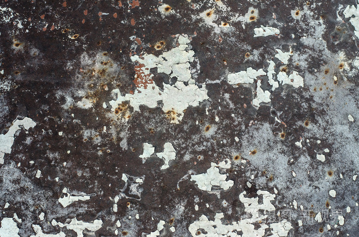 金属质感主题: 旧生锈的铁板与白色油漆