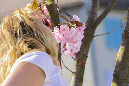 女人和樱花或樱花花在树枝上, 衬托着蓝天的背景。日本樱桃。景深浅。聚焦在花静物的中心