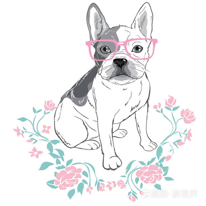 牛头犬在眼镜 矢量图插画 正版商用图片0ru4za 摄图新视界 牛头犬在眼镜 矢量图插画 正版商用图片0ru4za 摄图新视界