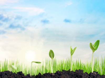 新生命的成长照片