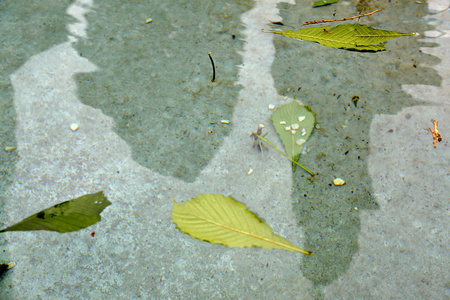 天然水的质地