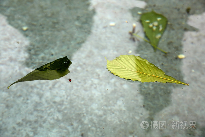 天然水的质地